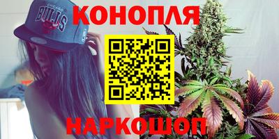 шишки Анапа