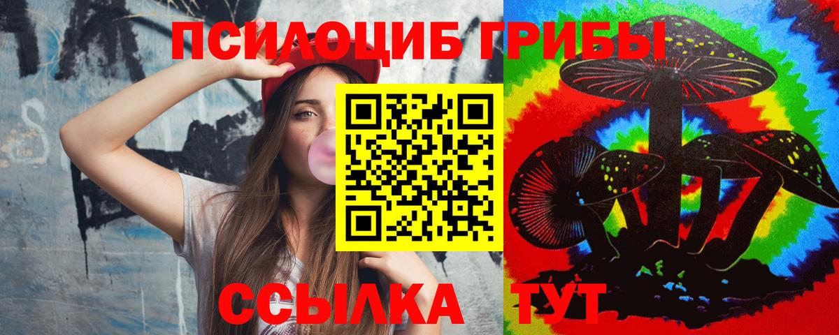 Галлюциногенные грибы Psilocybe Асбест